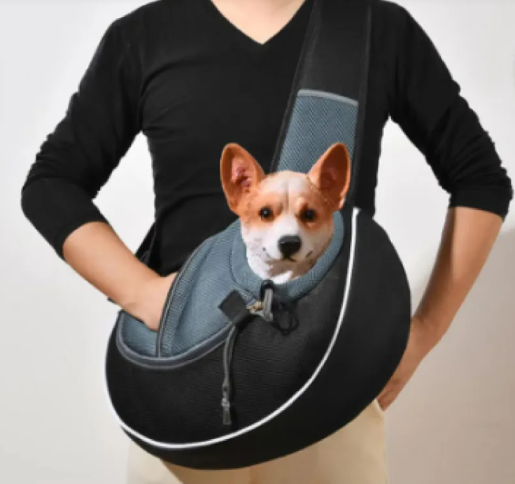 Pet Carrier Bag for Dogs &amp; Cats